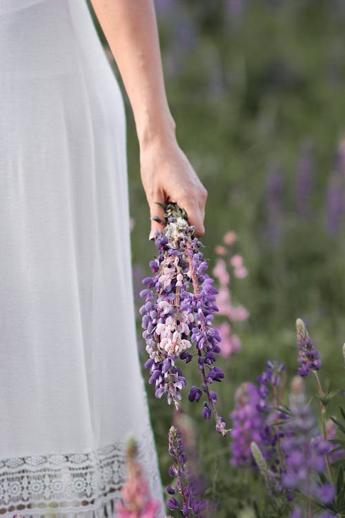 A Person Wearing White Dress Holding Lupine Flowers
