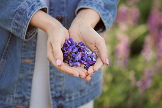 A close-up image of hands gently cradling purple petals in a garden setting, evoking springtime serenity.
