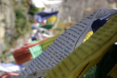 Free stock photo of bhutan, colorful, depth of field