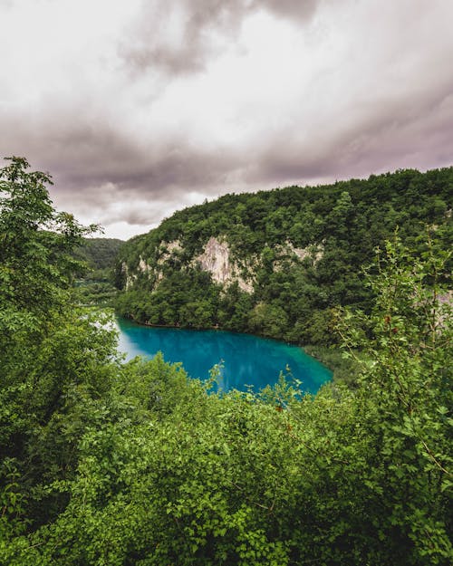 Gratis lagerfoto af lodret skud, Mobilbaggrund, natur