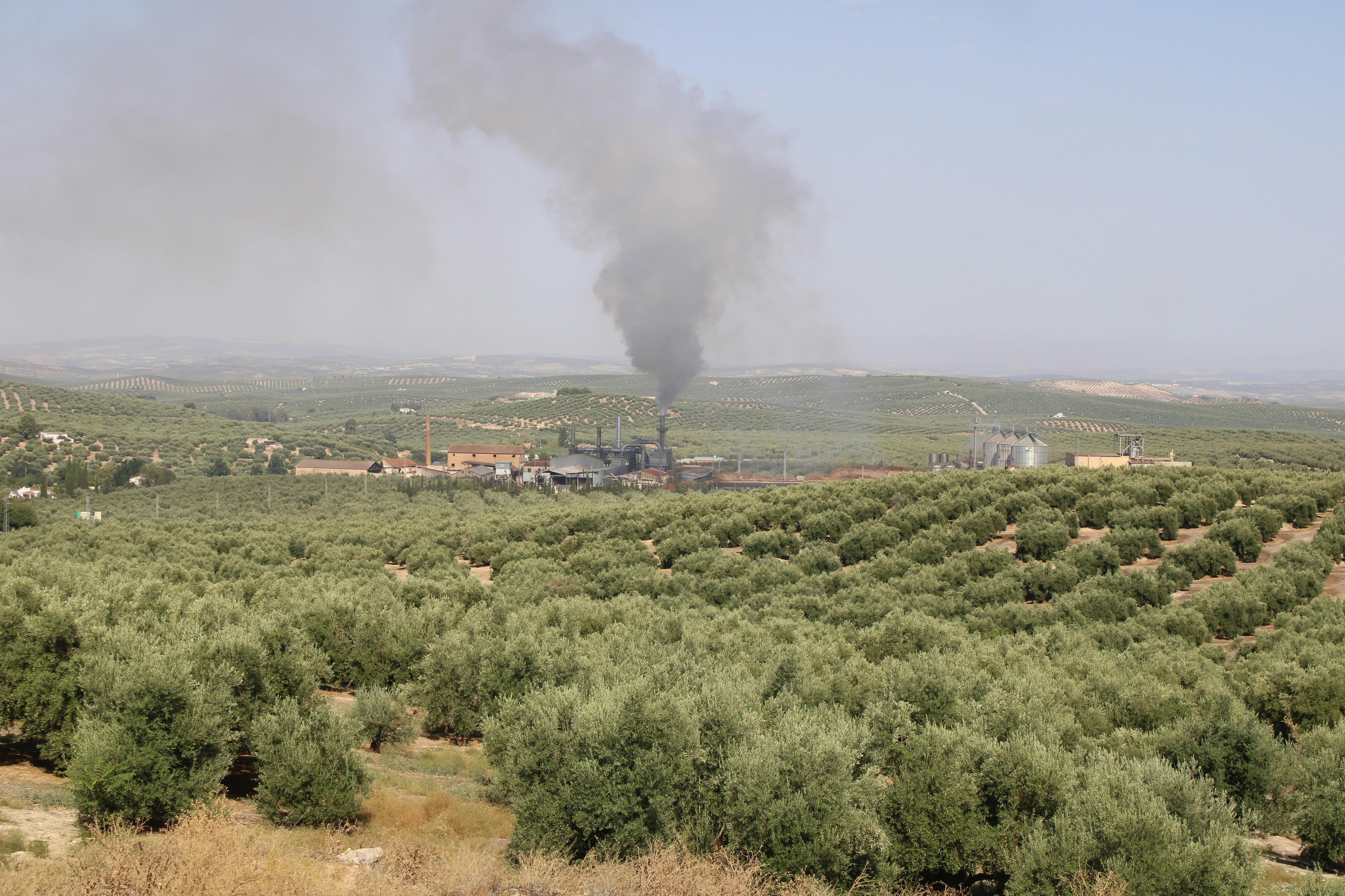 fotografias de la orujera en Martos