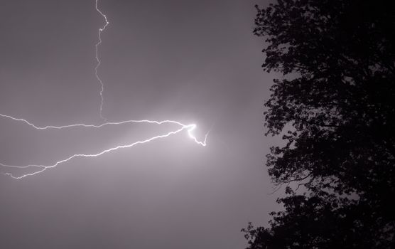Captivating lightning bolt illuminating the night sky beside silhouetted trees.