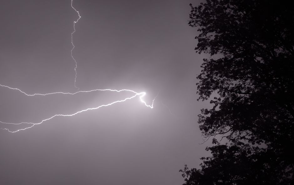Captivating lightning bolt illuminating the night sky beside silhouetted trees.