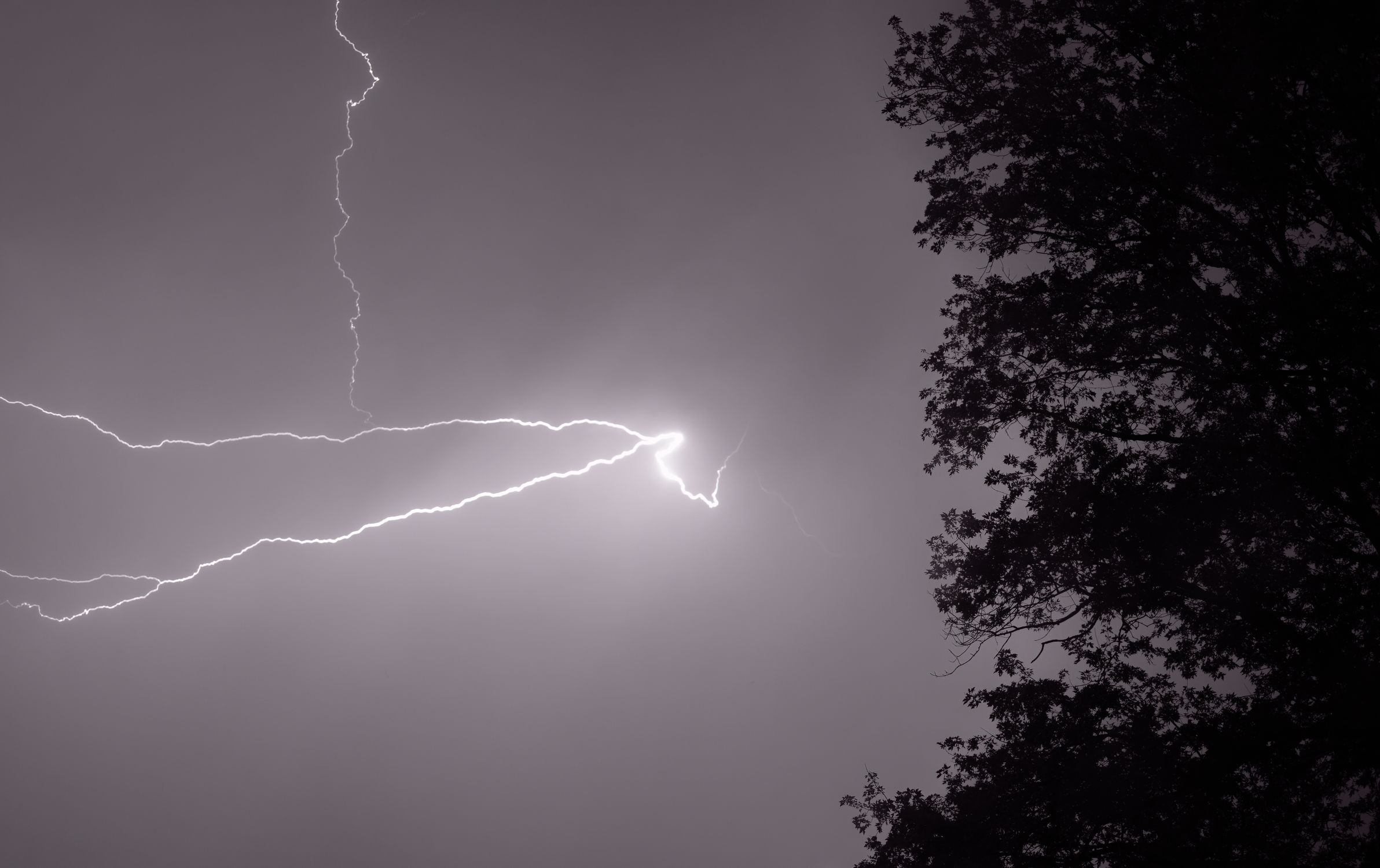 Lightning Strike on Dark Sky · Free Stock Photo