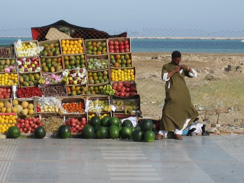Free stock photo of egypt, fresh fruit, street vendor Stock Photo
