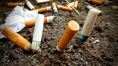 煙頭, 香煙 的 免费素材图片