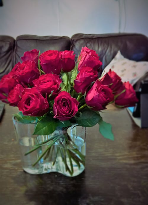 Free stock photo of red roses, rose vase, roses