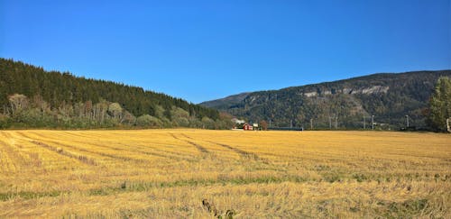 Kostnadsfria Kostnadsfri bild av åkermark, berg, beskära Stock foto