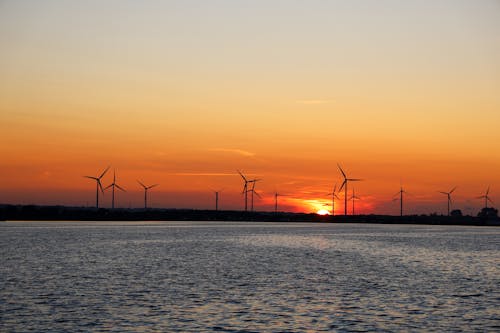 Free Silhouette of Wind Turbines during Sunset Stock Photo