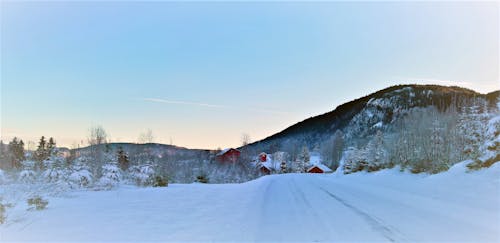 Mountains With Snow and Trees at Daytime