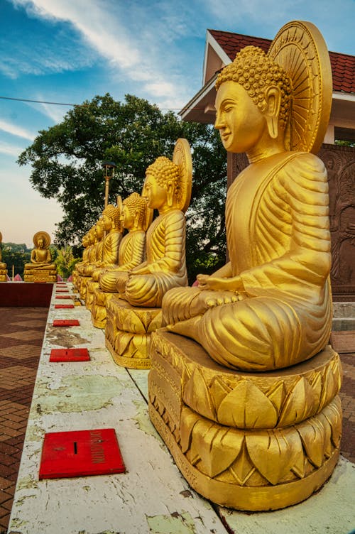 A Gold Buddha Statue