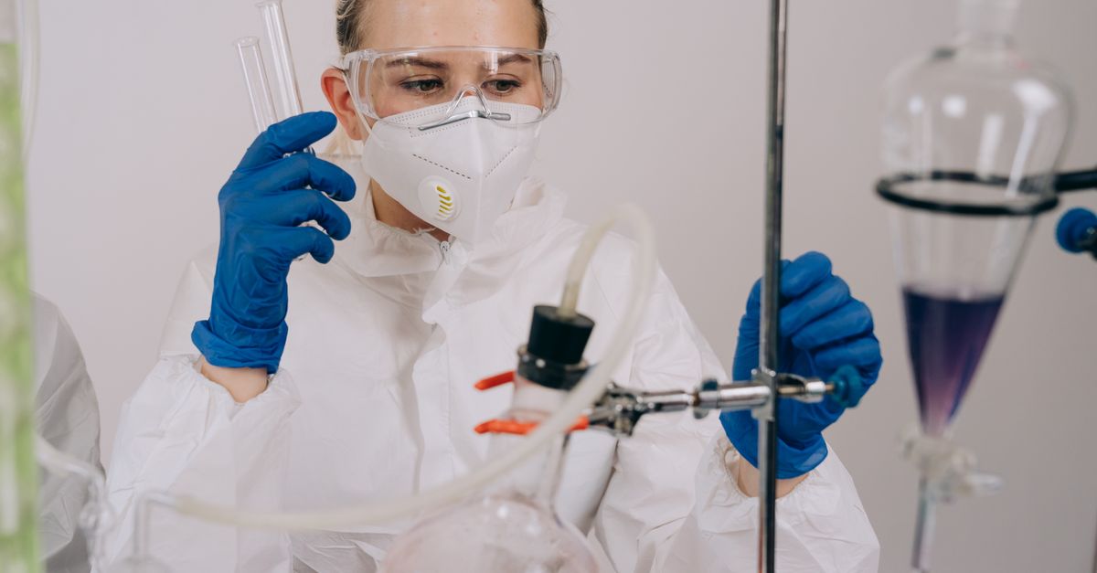 The Rise of Healthy Workplace Certifications: Key Trends for 2024