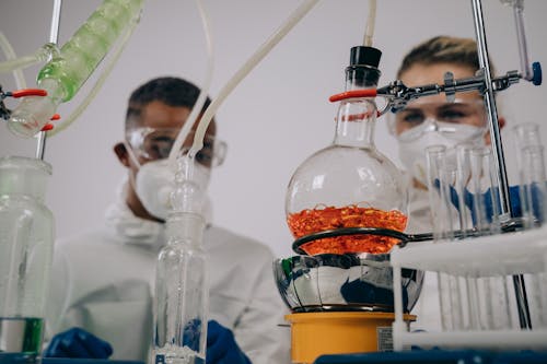 Free Scientists Experimenting in the Laboratory Stock Photo
