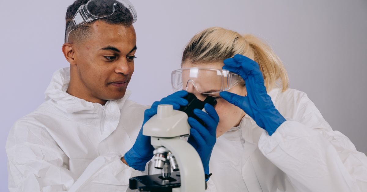 Scientists Reverse Aging in Mice—Here's What It Means for Humans