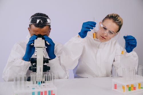 Scientists Experimenting in the Laboratory