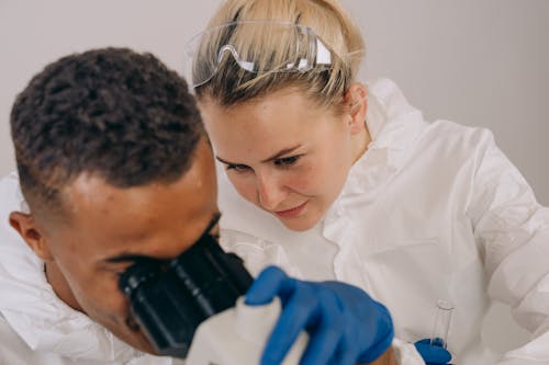 Scientists Experimenting in the Laboratory