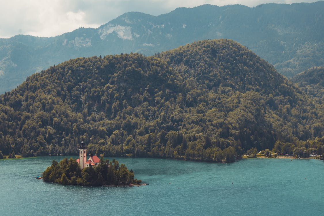 Imagine de stoc gratuită din copaci verzi, fotografie aeriană, fotografie cu drona