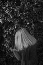 Grayscale Photo of a Person Standing Beside Plants