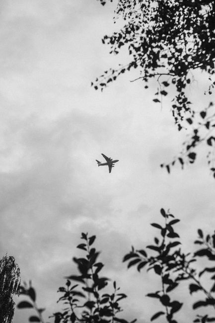 A monochrome photo of an airplane flying among clouds framed by tree branches.