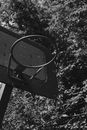 Grayscale Photo of Basketball Hoop