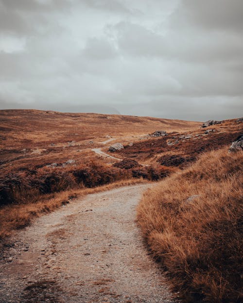 A Pathway Between Brown Grass Field Under Cloudy Sky