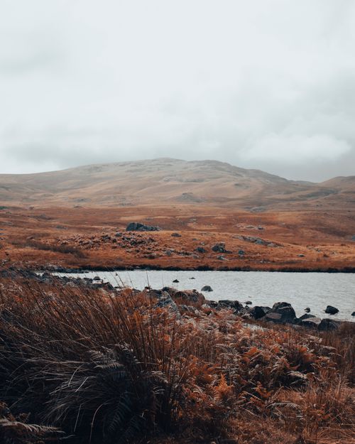 Free Breathtaking autumn landscape featuring a calm lake amidst rolling hills under an overcast sky. Stock Photo