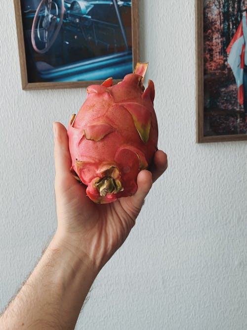 A Person Holding a Dragon Fruit 