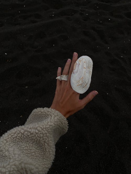 Free Crop woman demonstrating seashell rings near water Stock Photo