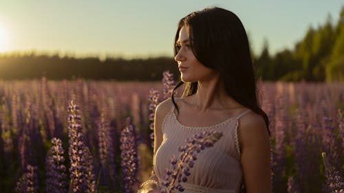 Gratis stockfoto met bloemenveld, lavendel bloemen, mevrouw