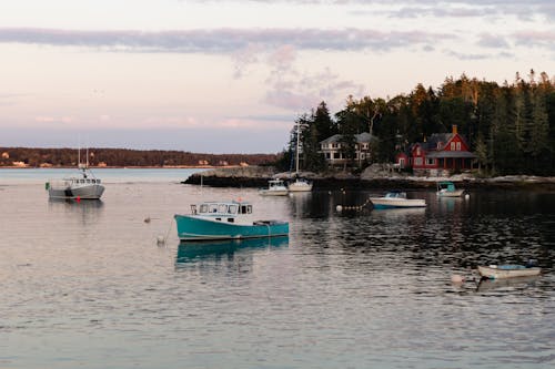 Foto profissional grátis de árvores, barcos, barcos de pesca