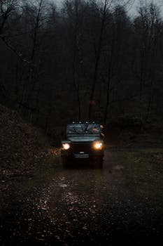 Off-road vehicle navigating a dark, misty forest at dawn in Iran, headlights on.