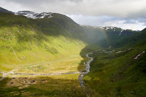 Scenic View of a Mountain