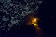 夜晚，香港岛上一条雾气缭绕、喜怒无常的小路被昏暗的路灯照亮，营造出神秘的氛围