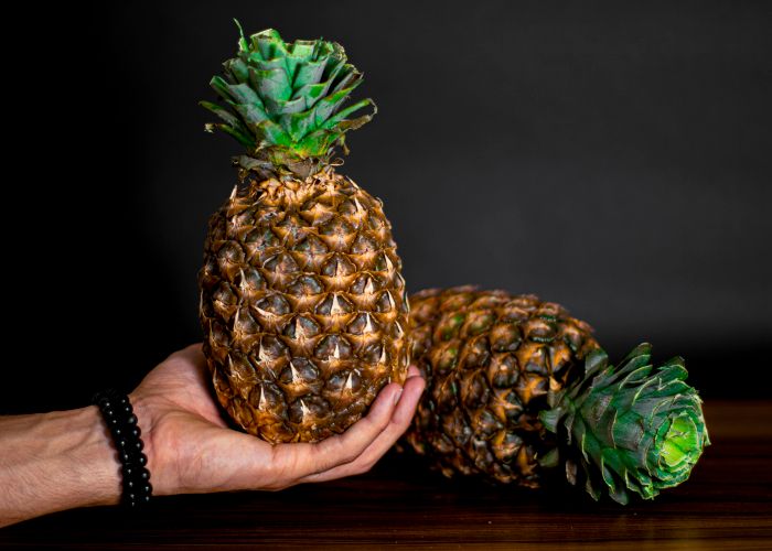 Pineapple Pinya - Urban Goes Green Plant Guide