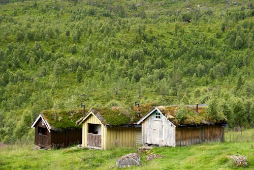 Kostenloses Stock Foto zu außerorts, berge, felder