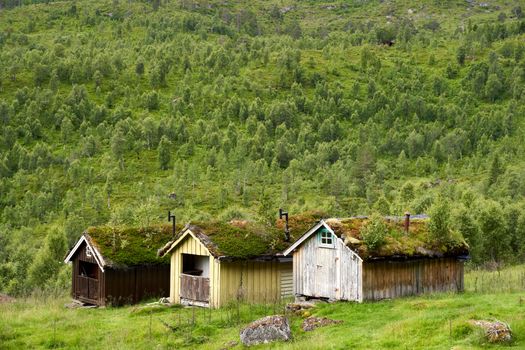 Brown Wooden House on Green Grass Field Near Green Trees