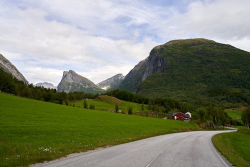 Foto d'estoc gratuïta de arbres verds, camp, carretera asfaltada