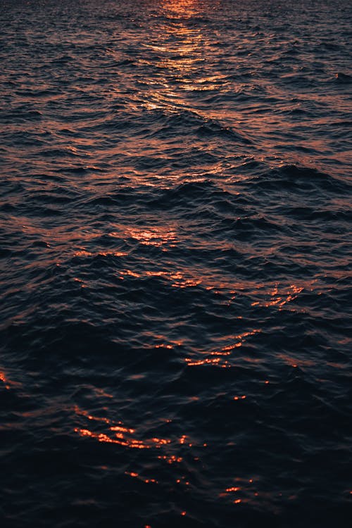 Základová fotografie zdarma na téma moře, odraz, sluneční světlo