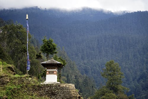 Free stock photo of bhutan, chorten, flag