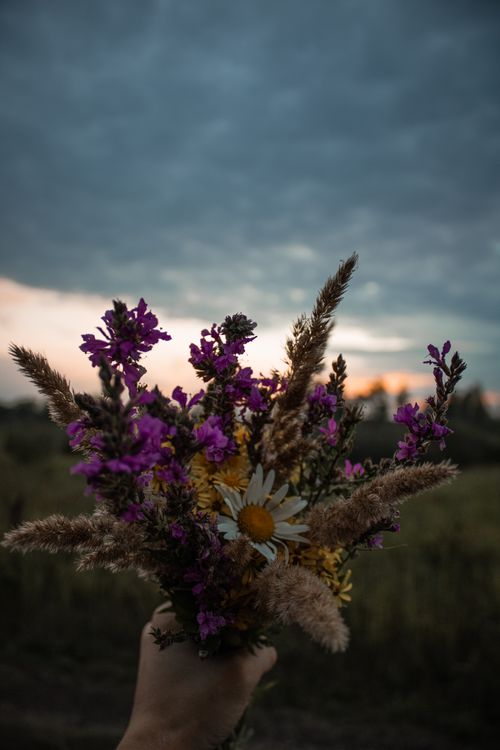 Free A hand holds a vibrant bouquet of wildflowers against a twilight sky in the Russian countryside. Stock Photo