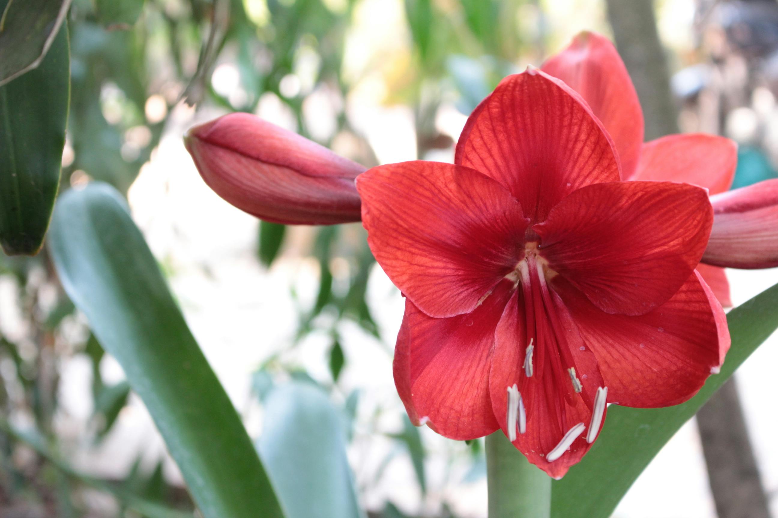 Sân bay quá cảnh