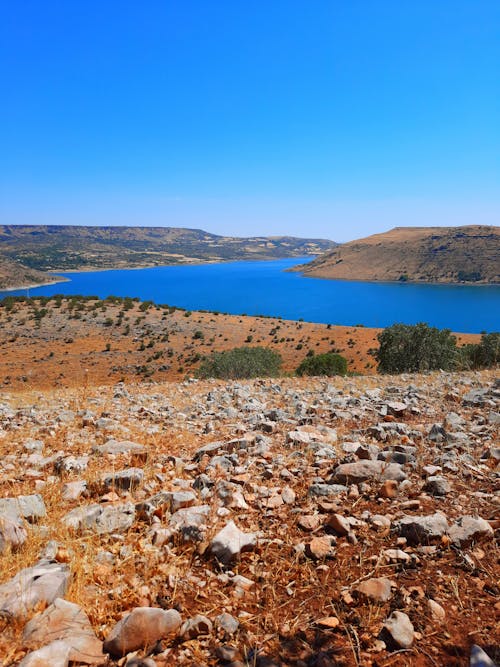 Základová fotografie zdarma na téma fotografie přírody, hnědá tráva, jezero