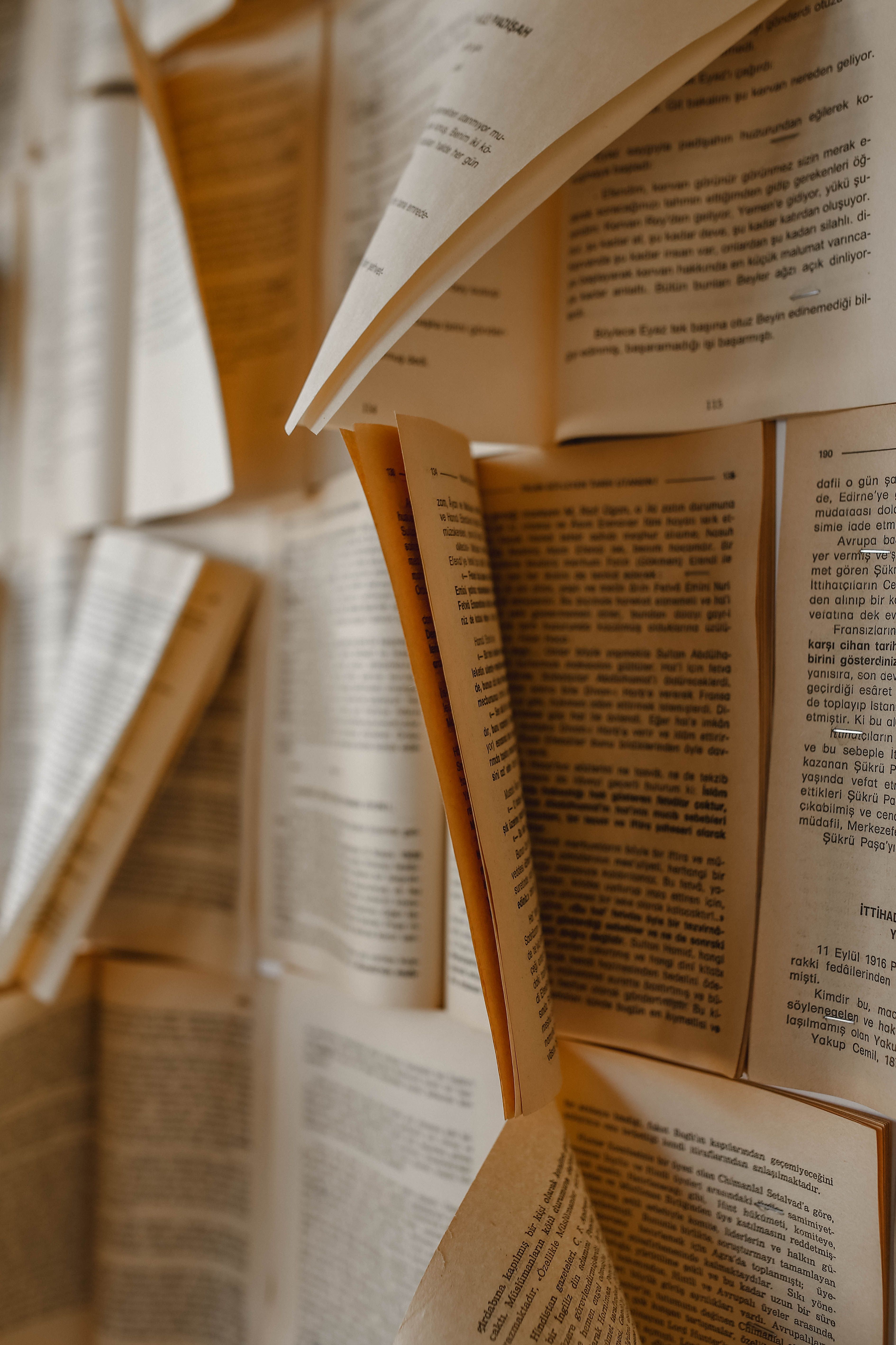 Libros — vista 4