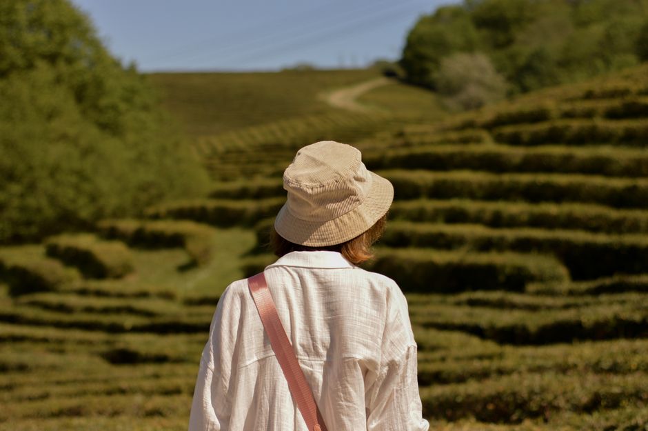A woman with a hat explores lush green terraced fields on a sunny day.