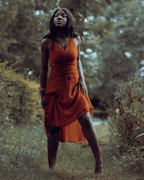 Gratis lagerfoto af Adobe Photoshop, afrikansk kvinde, busk
