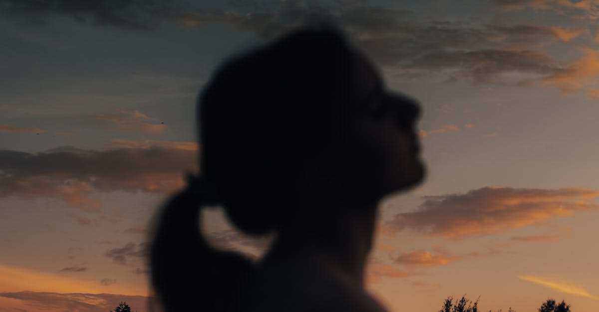 Why does a rooster crow in the evening