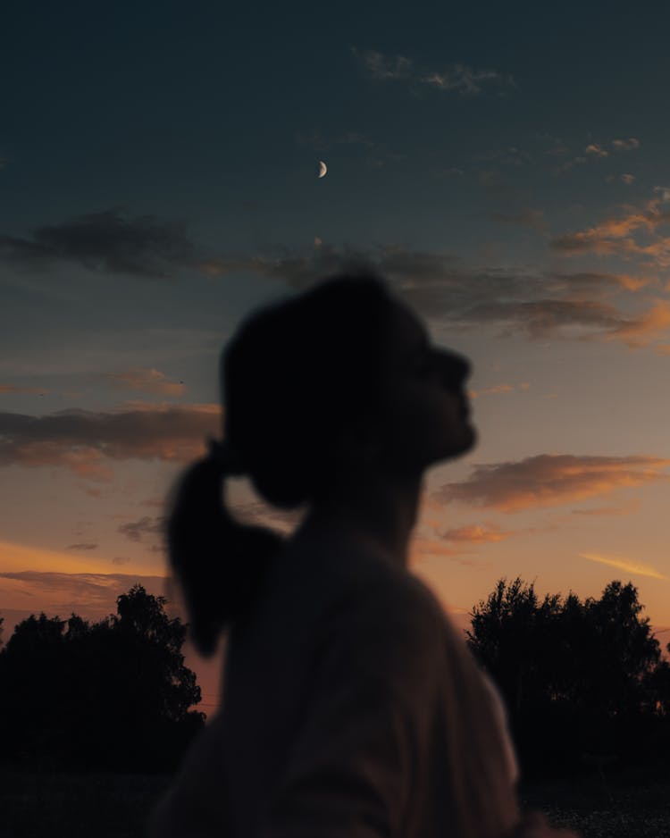 Silhouette Of Woman Against Evening Sky