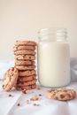 Cookies on White Ceramic Plate