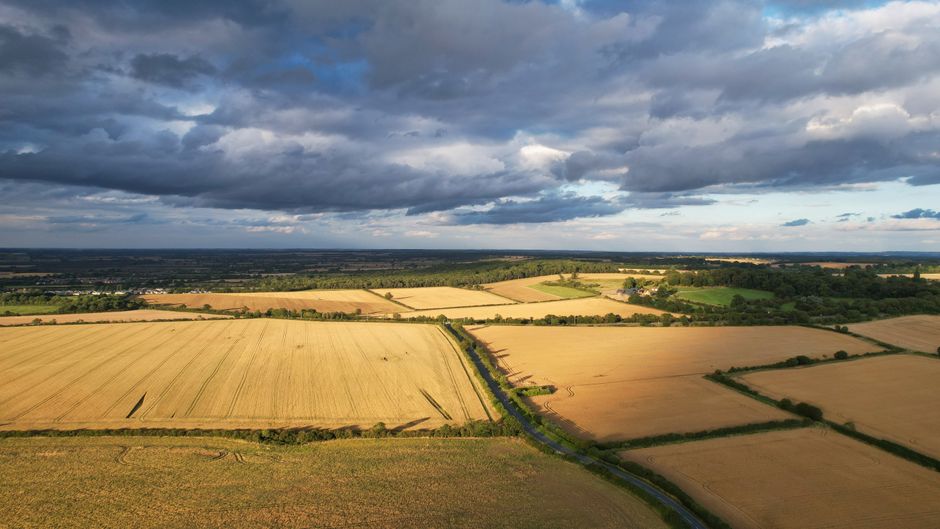 Unforgettable 15 minute Pathfinder Helicopter Flight Review: England's Best Quick Aerial Adventure Review 2026 - Serene aerial landscape of cropland in Central Bedfordshire under a cloudy sky.