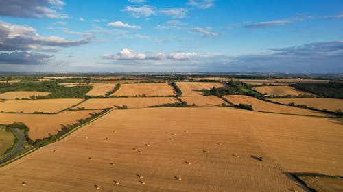 Foto profissional grátis de aerofotografia, agrícola, área